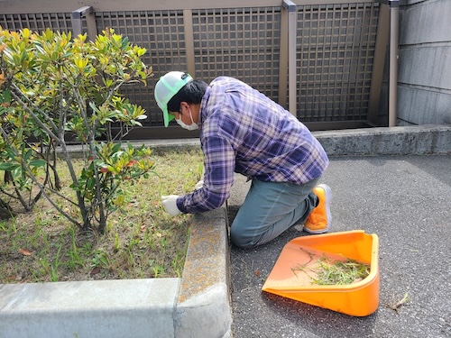 NPO法人タオ 清掃事業