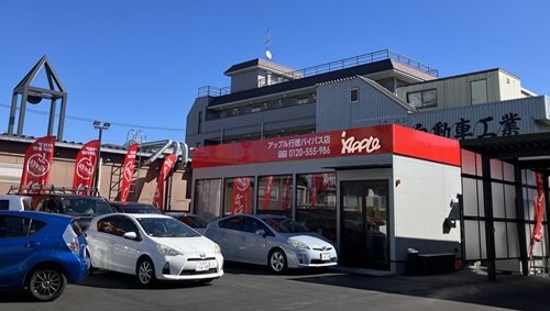 アップル行徳バイパス店 外観