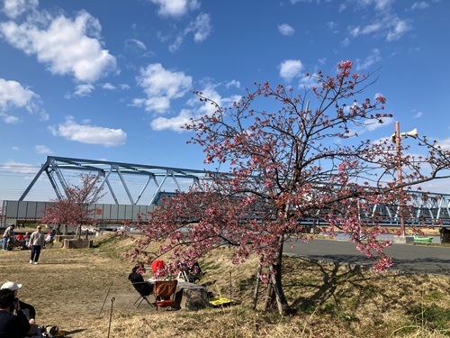 妙典河川敷